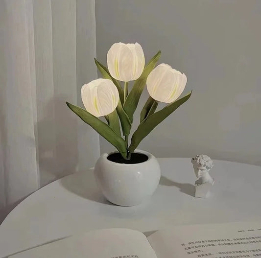LED Tulip Night Light