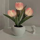 LED Tulip Night Light