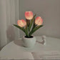 LED Tulip Night Light