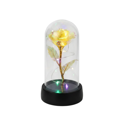 MieleGifts iridescent rose inside a clear plastic dome with glowing LED fairy lights on a black base