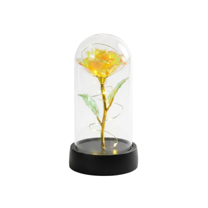 MieleGifts iridescent rose in a clear plastic dome with warm LED fairy lights on a black base