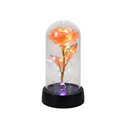 MieleGifts light up rose in a clear plastic dome with warm LED fairy lights and a black base for romantic decor